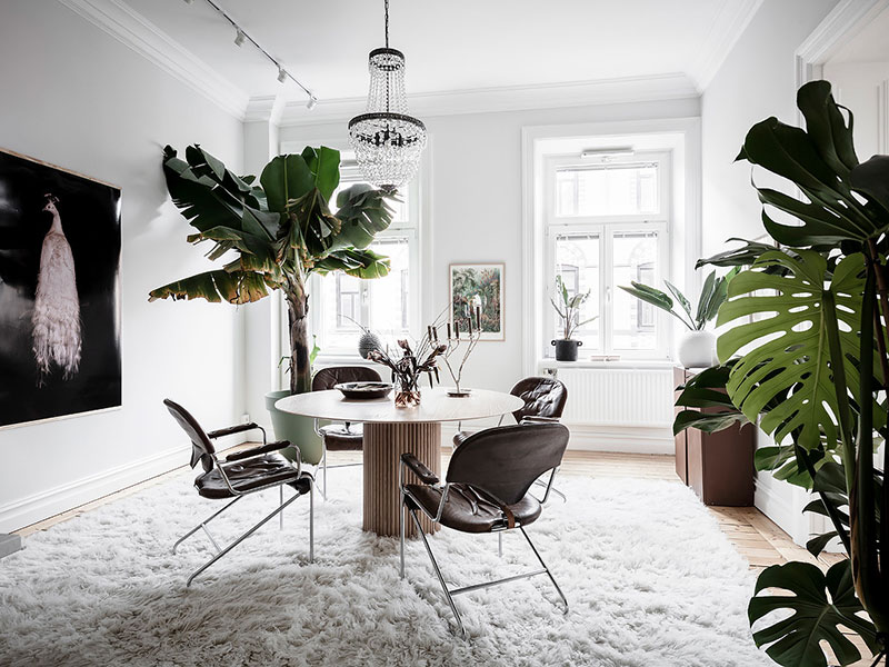Жизнь под пальмами: квартира с множеством растений в Швеции