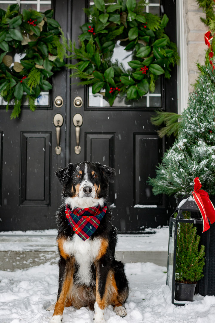 Клетчатые текстиль и довольный пёс: Рождество в одном американском доме