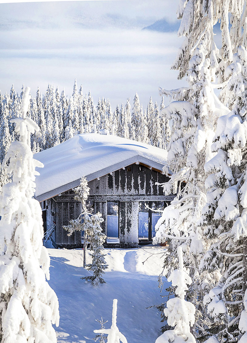В ожидании снега: уютный современный деревянный коттедж в Норвегии (105 кв. м)