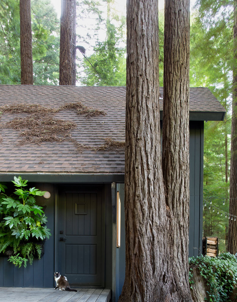 Замечательный домик в лесу со стильными интерьерами