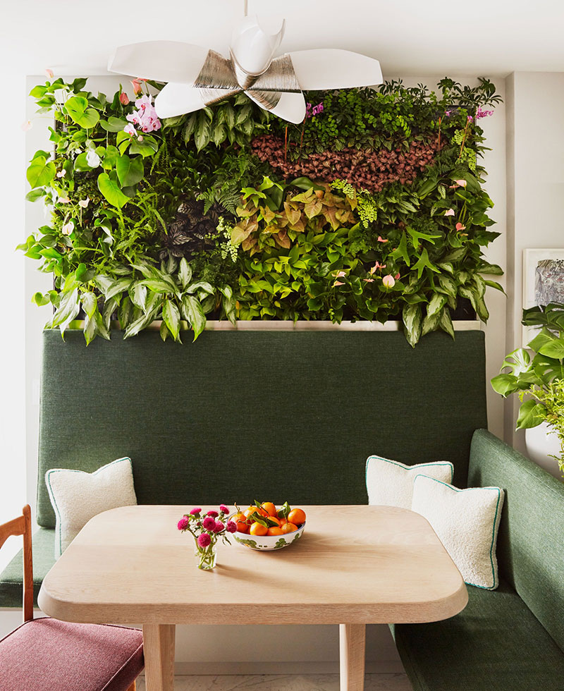 Яркая квартира с множеством растений в Нью-Йорке