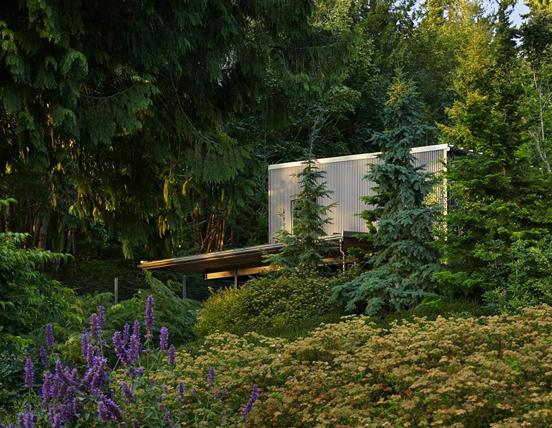 Уютный лесной дом отдыха с видом на залив в Сиэттле