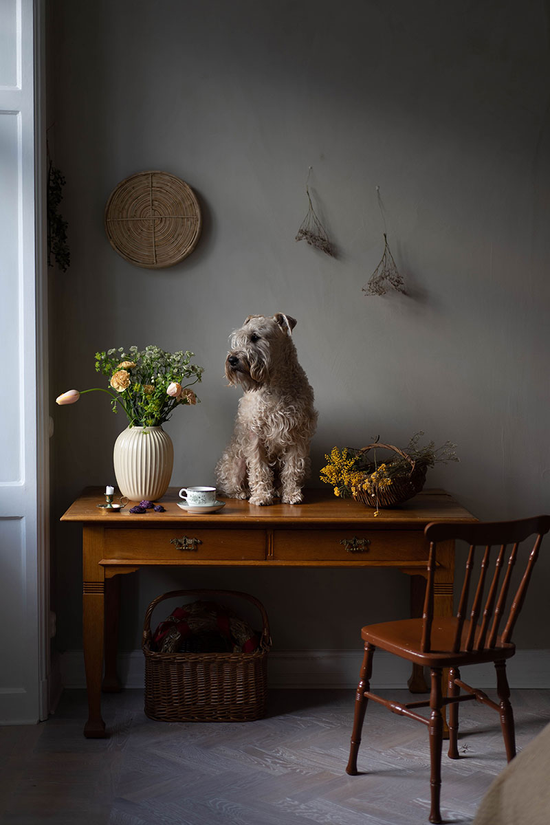 Скандинавский уют с собачкой: прекрасная квартира блогера в Швеции