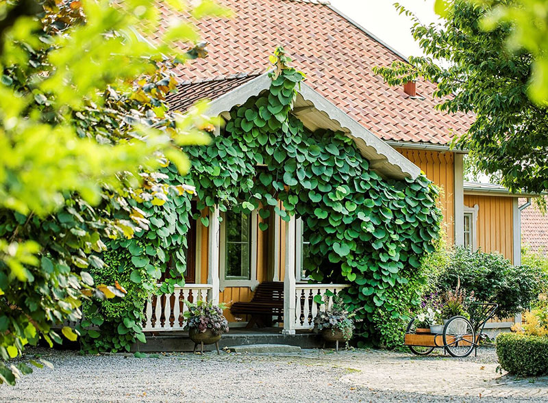 Чудесный фермерский дом в шведской деревне