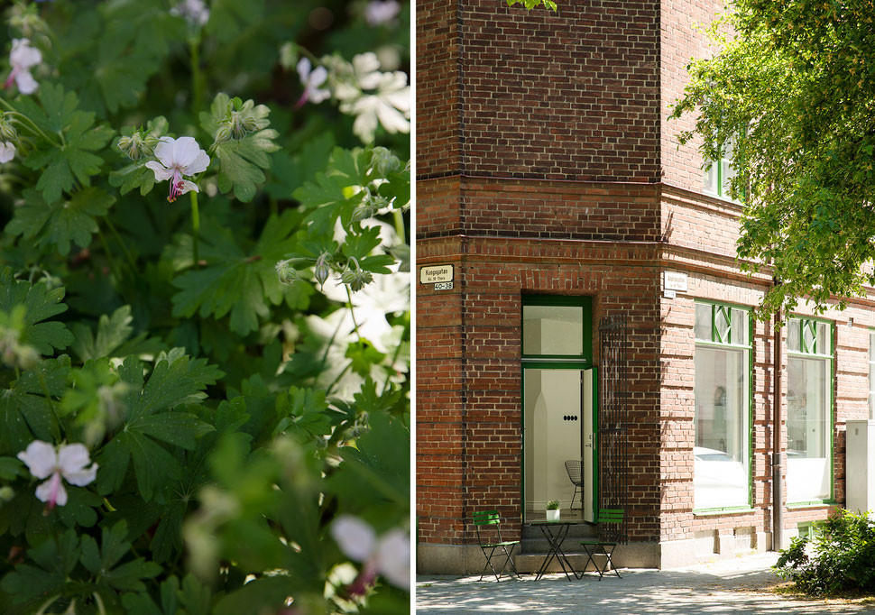 Маленькая квартира студента в помещении бывшего магазина в Мальмё (38 кв. м)