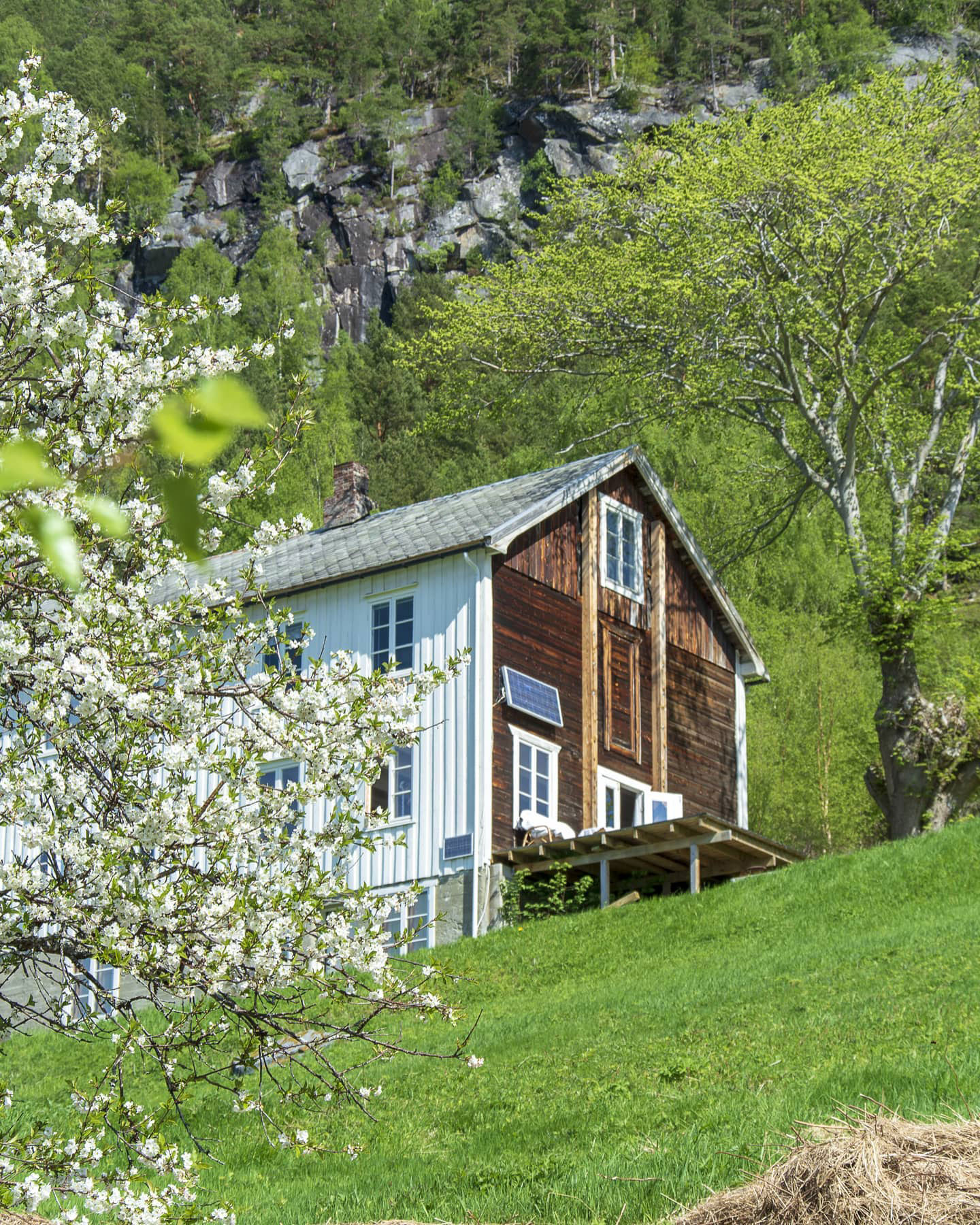 Уютный традиционный коттедж на берегу фьорда в Норвегии